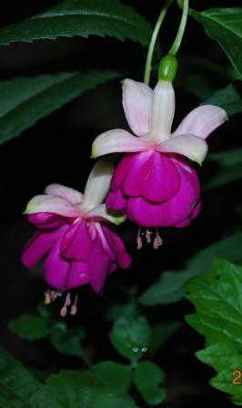 Изображение 853.jpg