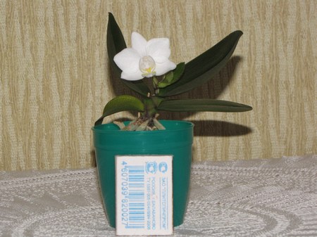 Изображение 087.jpg