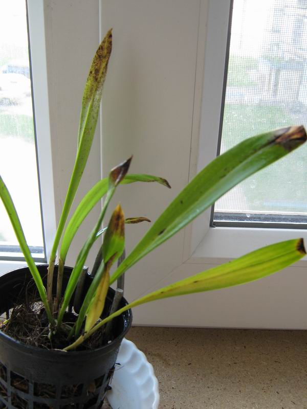 Изменение размера IMG_3750.JPG