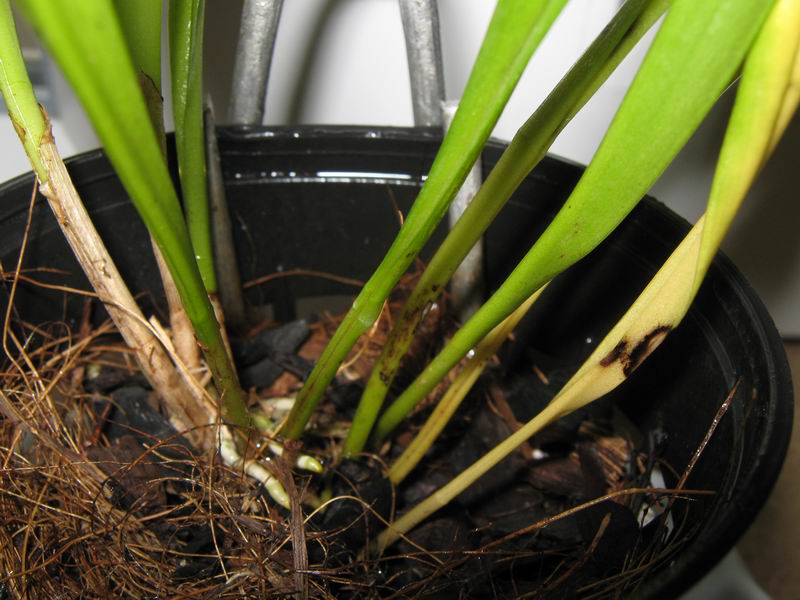 Изменение размера IMG_3755.JPG