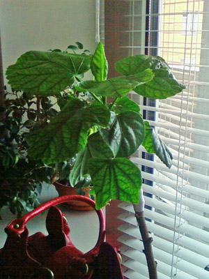 Вот так мы сейчас выглядим!