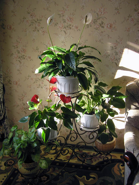 кованная подставка