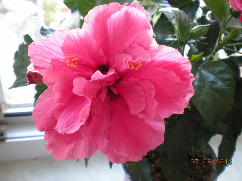 вот это да 002.jpg