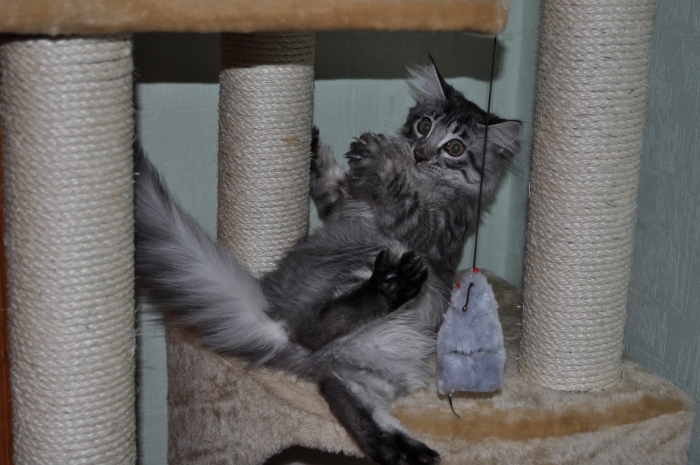 Масепа в детстве