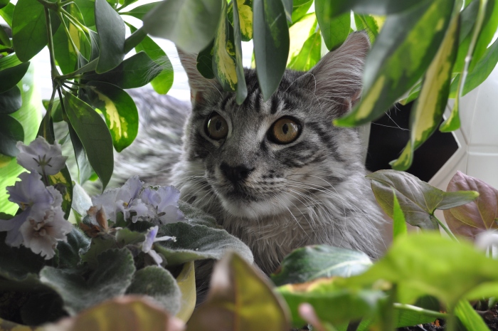 Портрет в интерьере