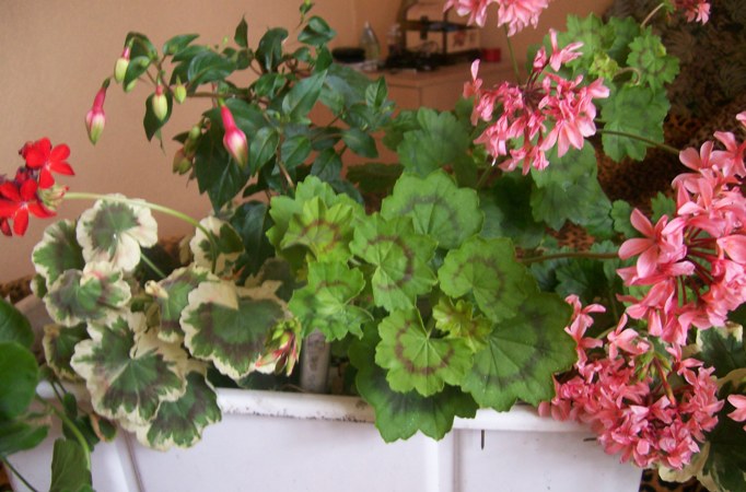 Изображение 763.jpg