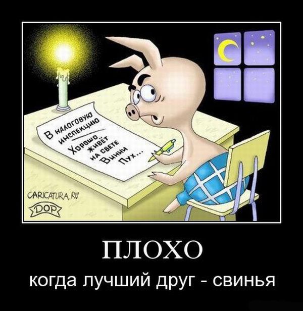 Друг свинья.jpg
