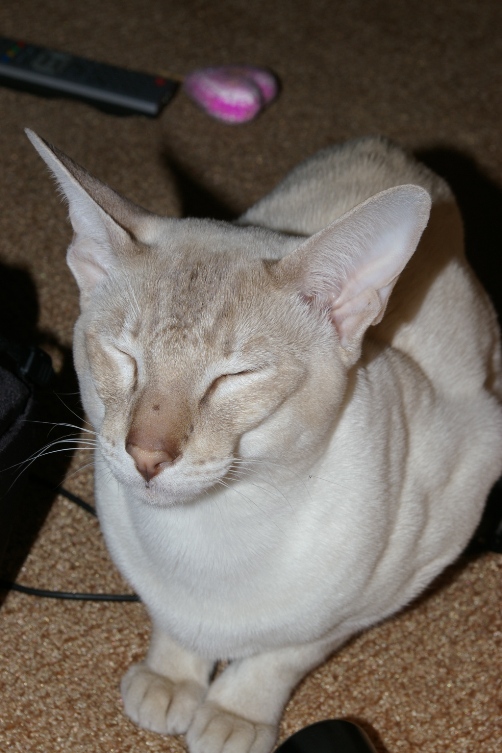 Младший 3 года