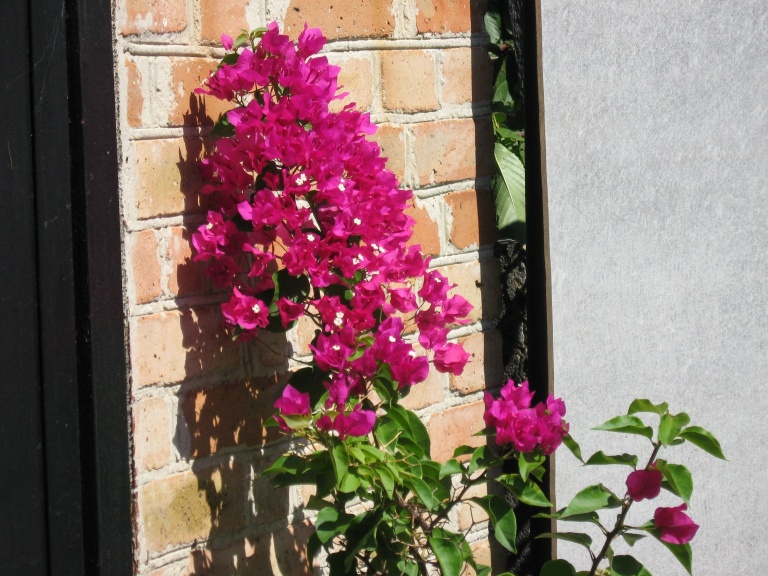 рабочий стол 001.jpg