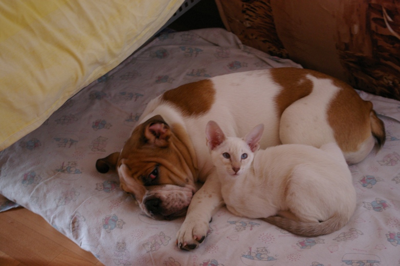 это младшенький в детстве