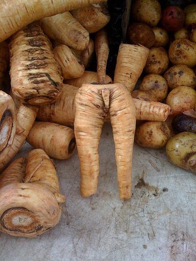 редька с п..jpg