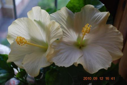 Изображение 999.jpg