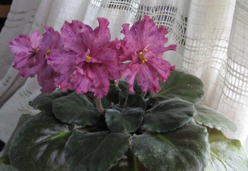 Изображение 622.jpg