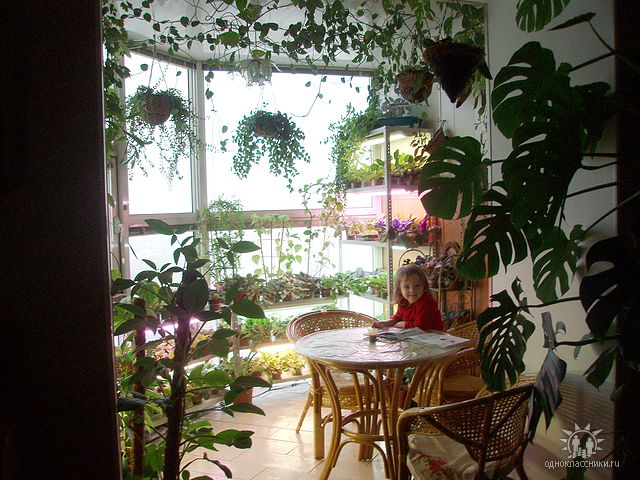 Елена Юнакова, 38 років, Россия, Воронеж (можно в поисковике сайта Одноклассники набрать (скопировать) эти данные и выйти на страничку этой замечательной женщины) -Зимний сад.