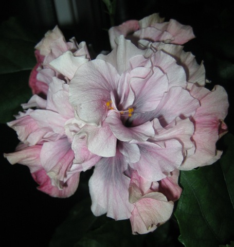 и опять мы выглядим по-новому...