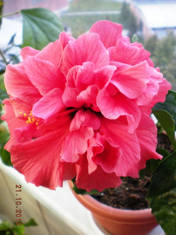 проблема 013.jpg