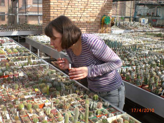 И это тоже я