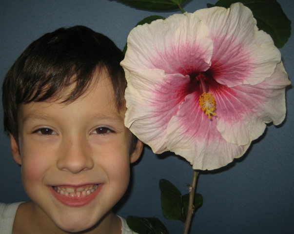 Сыыырррр.. :))))