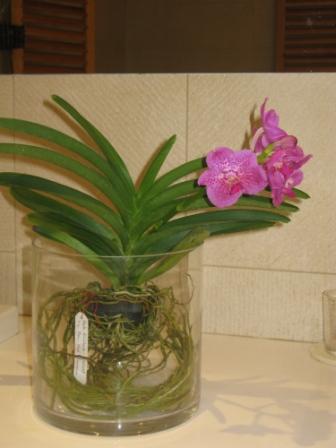 IMG_2857 - копия.JPG