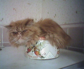 Так она любит &amp;quot;отдыхать&amp;quot;... :)))