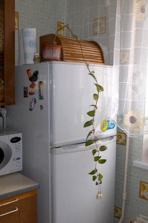 вот она какая длинная :)