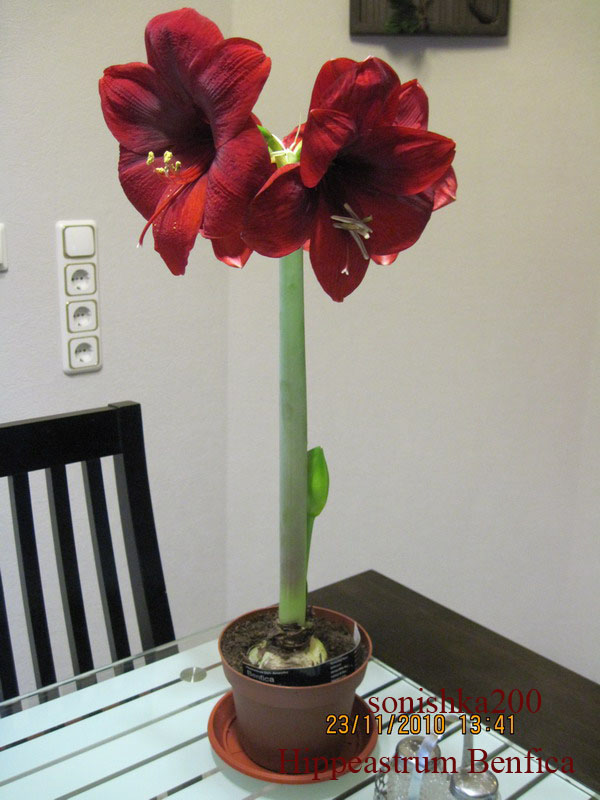 Изображение 073 копия.jpg