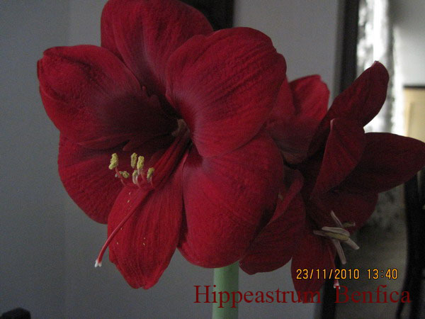 Изображение 069 копия.jpg