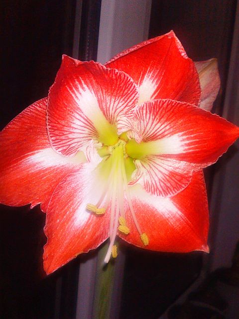 IMG309 - копия.jpg