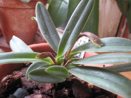 Изображение 039.jpg