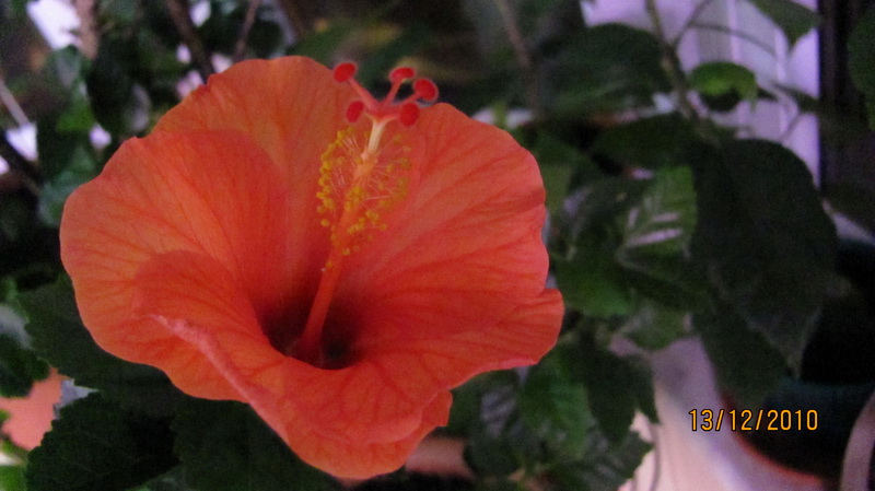 сегодня 007.jpg