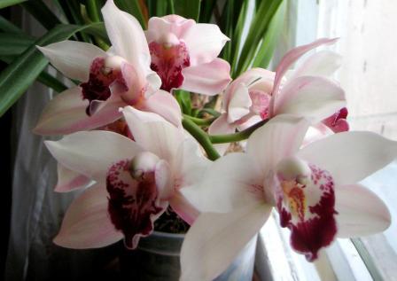 Изображение 050-1.jpg