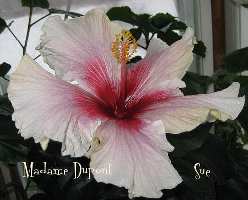 а это самый второй :)