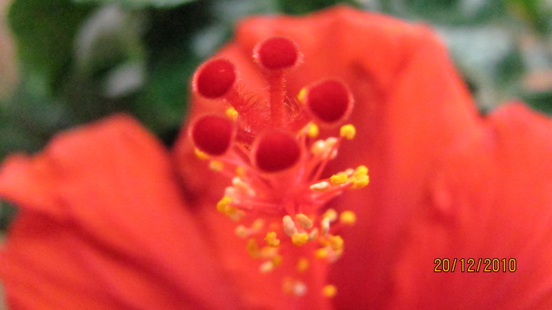 сегодня вечером 014.jpg