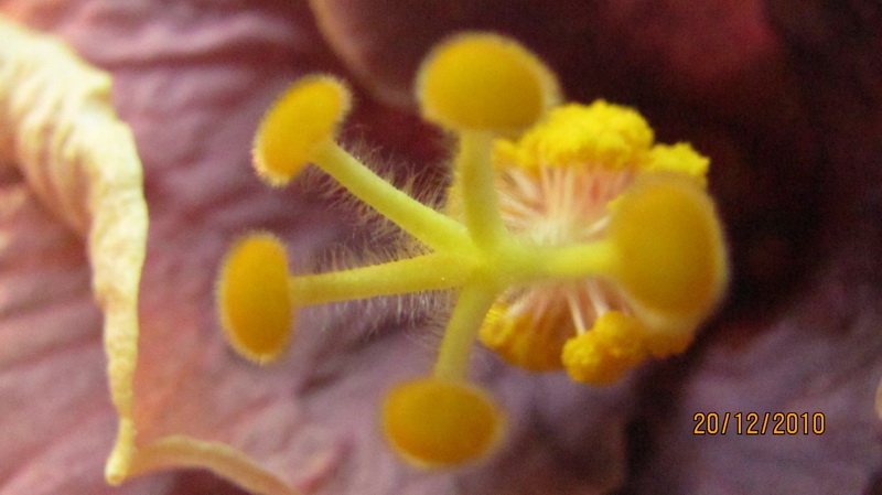 сегодня вечером 016.jpg