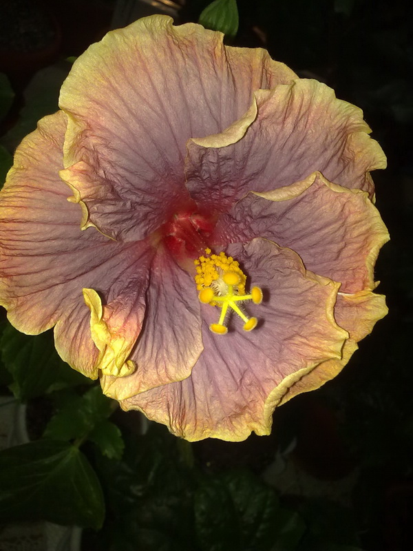 сегодня 049.jpg