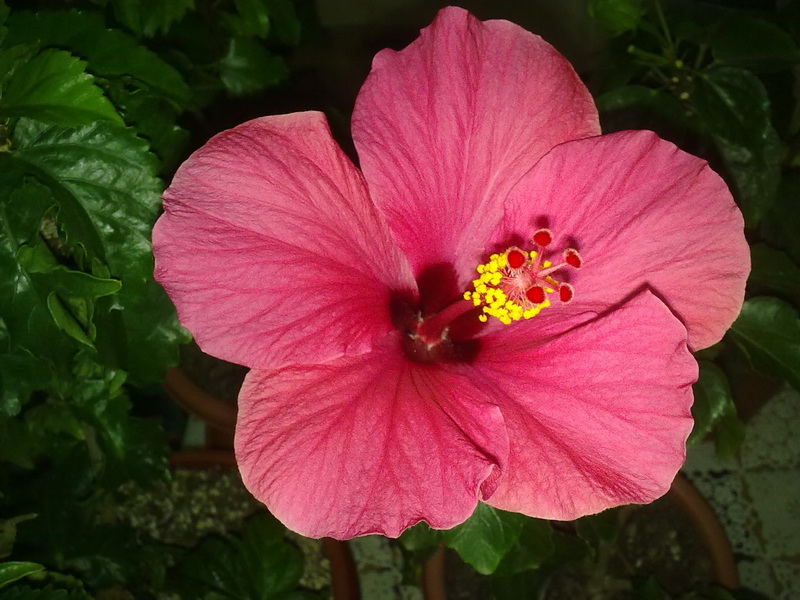 сегодня 050.jpg