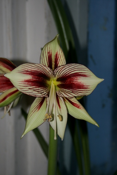 Изображение 1091.jpg