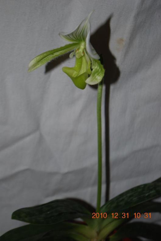 Изображение 1252.jpg