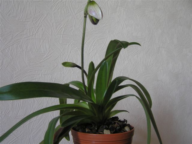 Воскресенье.