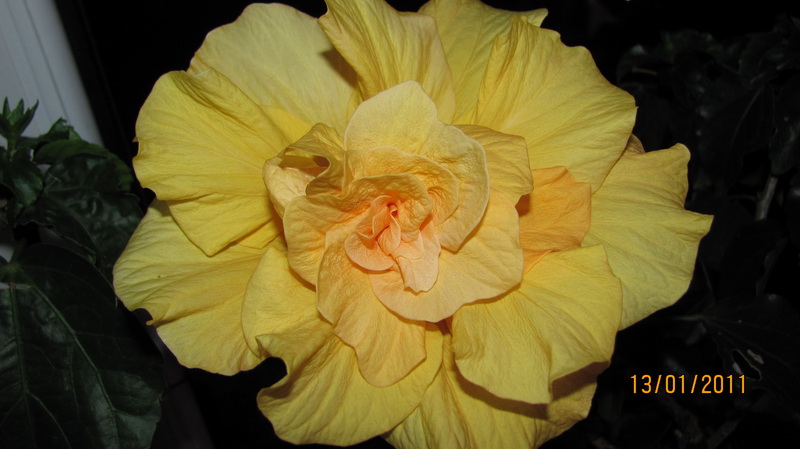 а стал вот такой