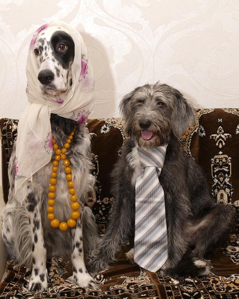 _1093120 Одри и Тоша форум.JPG