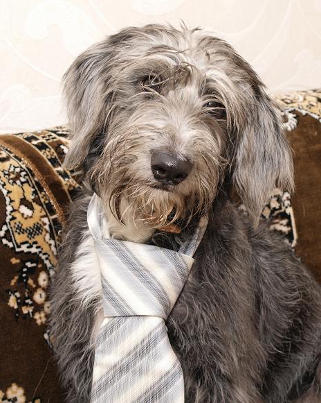 _1093113 тоша форум.JPG