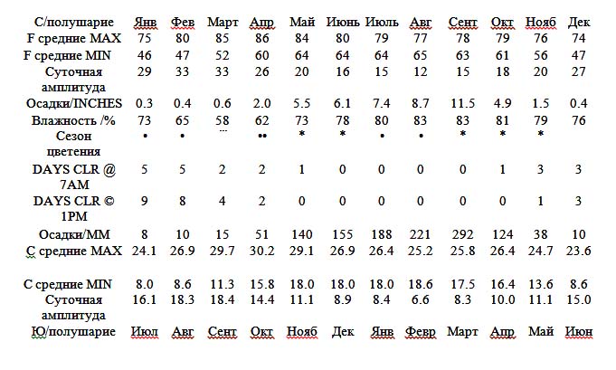 Dendrobium bellatulum.jpg