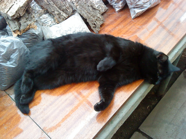 Несколько дней назад