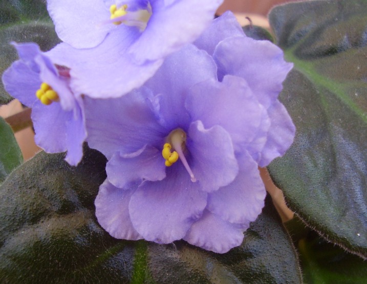 На пороге ночи