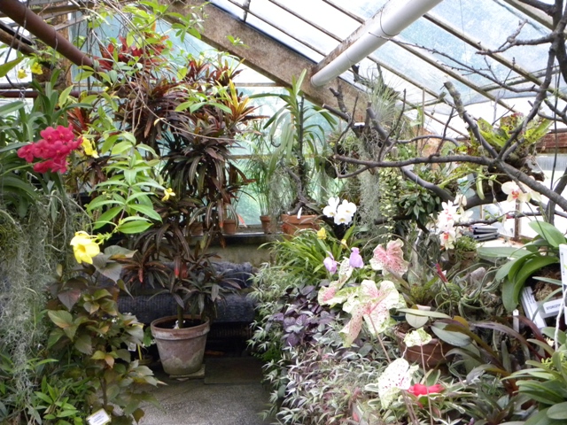 Изображение 556.jpg