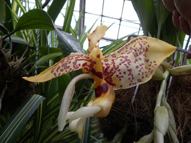 Изображение 566.jpg