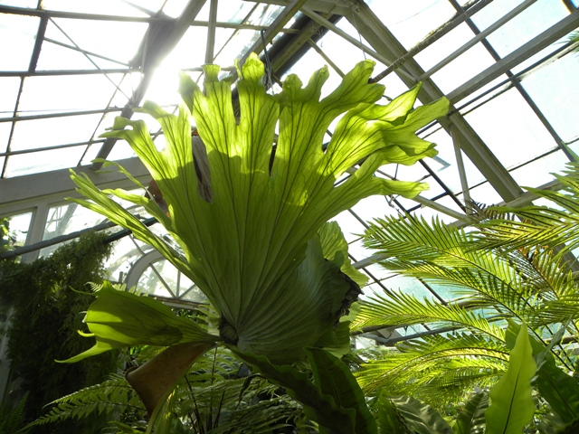 Изображение 141.jpg