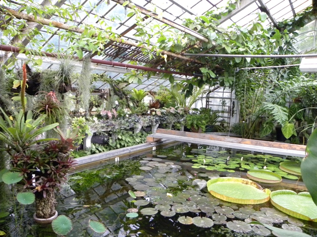 Изображение 560.jpg