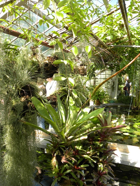 Изображение 138.jpg